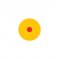 NEPOMAR